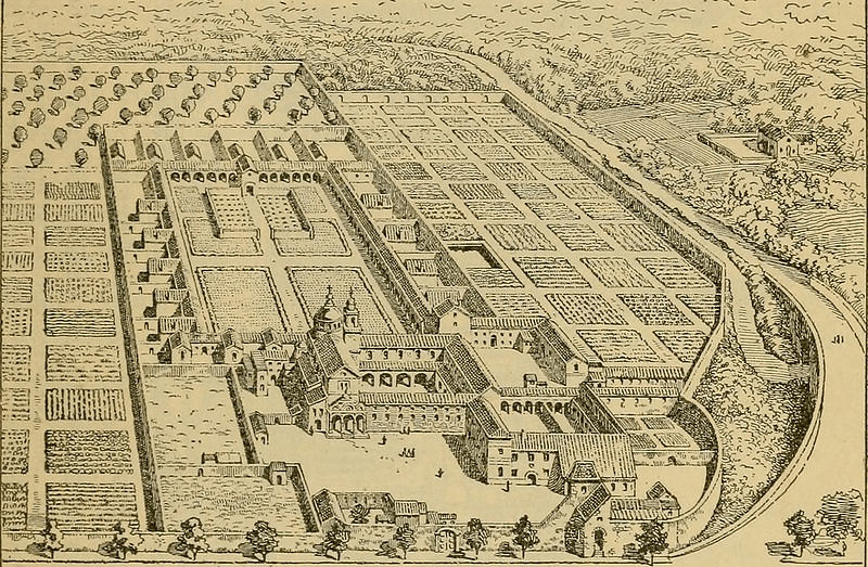 medieval-garden-plants.jpg